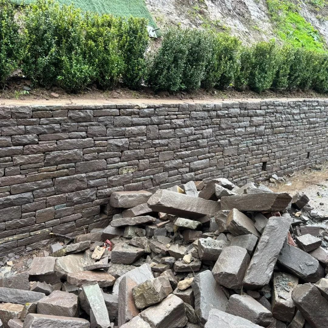 A long dry bed wall under a hedge, with stone ready to lay, Bwlch